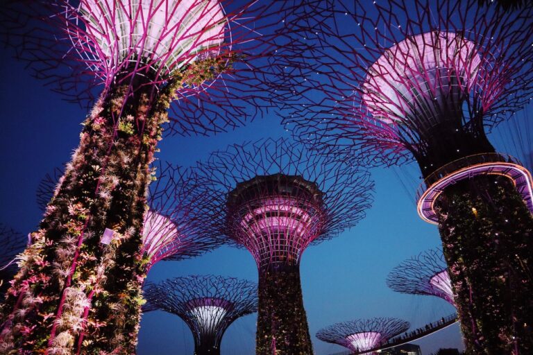  Gardens by the Bay