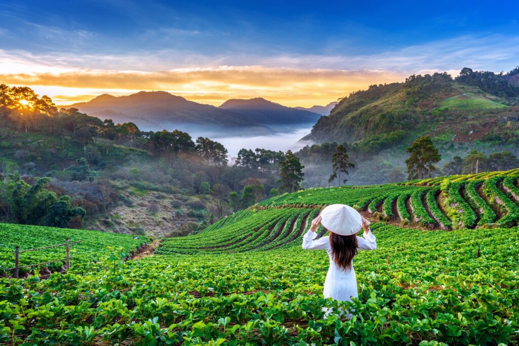 ooty 