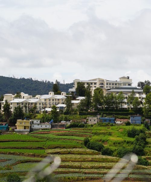 DSC01617 (1) Large DSC01617 (1) Large