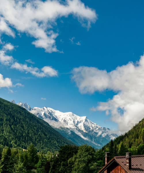 Firefly_Gemini Flash (2) Firefly_Gemini Flash (2)