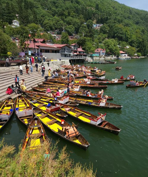 pexels-dino-uniyal-5998477-17004229 pexels-dino-uniyal-5998477-17004229