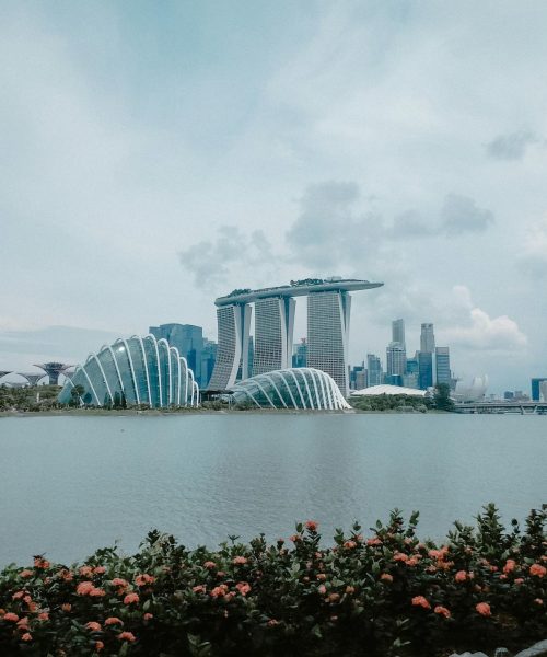 pexels-eli-mirasol-64453220-8176859 pexels-eli-mirasol-64453220-8176859