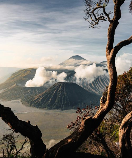 pexels-ilham-zovanka-2158121497-35383074 pexels-ilham-zovanka-2158121497-35383074