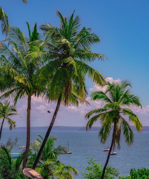 pexels-kannadhasan-s-356967535-14296158 pexels-kannadhasan-s-356967535-14296158