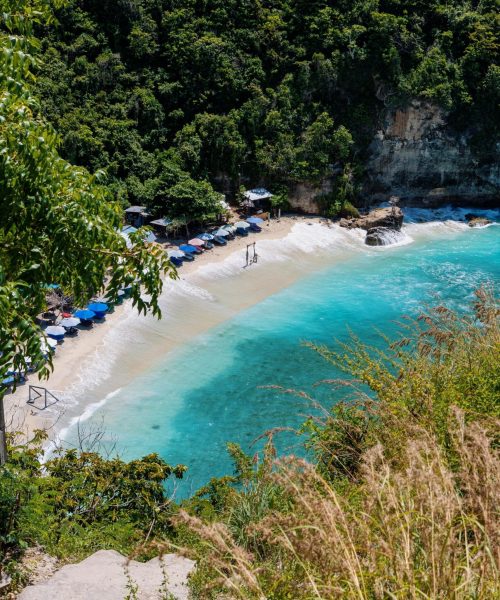 pexels-roselene-de-koning-791440941-20838763 pexels-roselene-de-koning-791440941-20838763