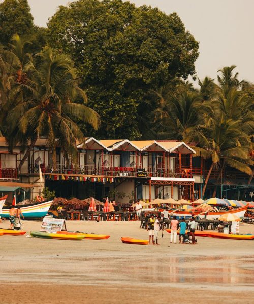 pexels-urtimud-89-76108288-32262452 pexels-urtimud-89-76108288-32262452