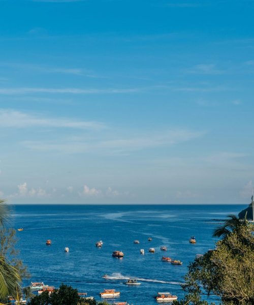 ravigopal-kesari-m5OwMCE7Dp4-unsplash ravigopal-kesari-m5OwMCE7Dp4-unsplash